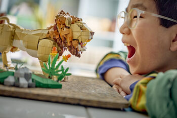 LEGO Creator Wild Animals: Tignarlegt ljón 31386