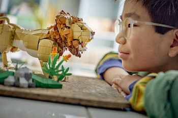 LEGO Creator Wild Animals: Tignarlegt ljón 31386
