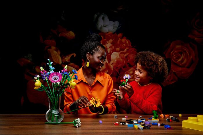 LEGO Classic 484 Kubba geymslukassi 10696