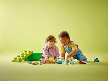 LEGO DUPLO 65 kubbar í kassa 10913