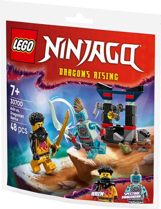 LEGO Ninjago Arin gegn Dragonian 30700