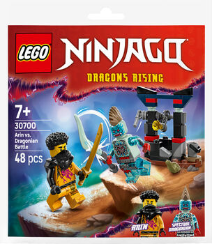 LEGO Ninjago Arin gegn Dragonian 30700