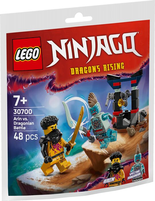 LEGO Ninjago Arin gegn Dragonian 30700