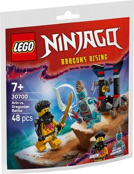 LEGO Ninjago Arin gegn Dragonian 30700