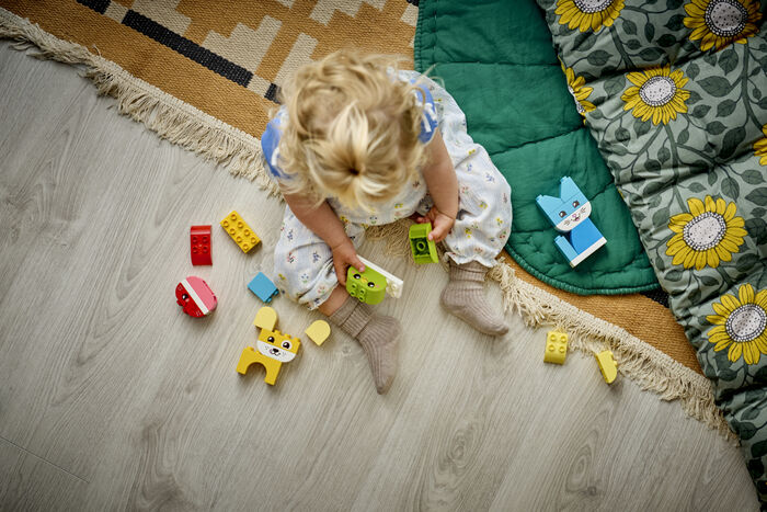 LEGO DUPLO My First 3-í-1 skapandi krúttleg gæludýr 10477