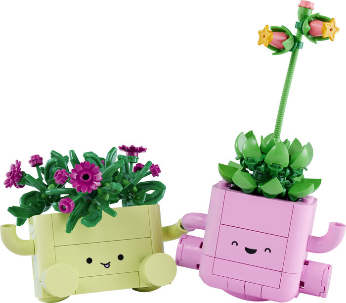 LEGO Botanicals Vaggandi plöntur 11506