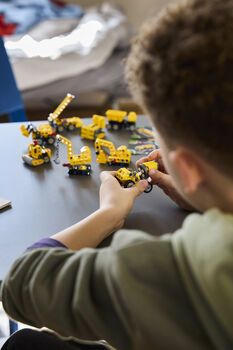LEGO Technic: Mighty Machines Blind box 42233