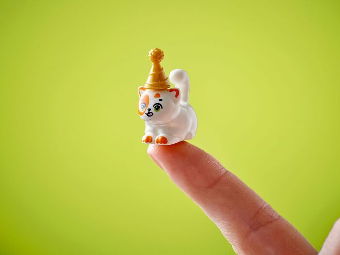 LEGO Friends kisuafmæli 42666