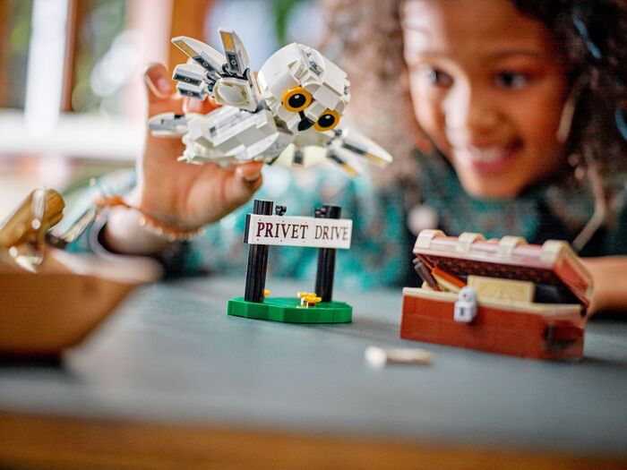Product image not available for LEGO Harry Potter Hedwig 76425
