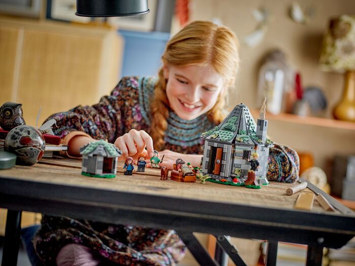LEGO Harry Potter Hagrids Hut: Óvænt heimsókn 76428