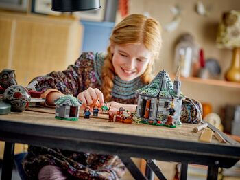 LEGO Harry Potter Hagrids Hut: Óvænt heimsókn 76428