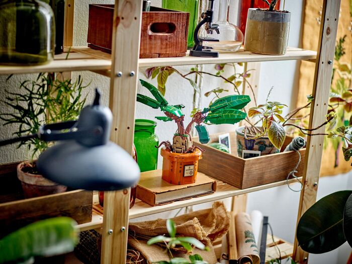 LEGO Harry Potter Mandrake planta 764