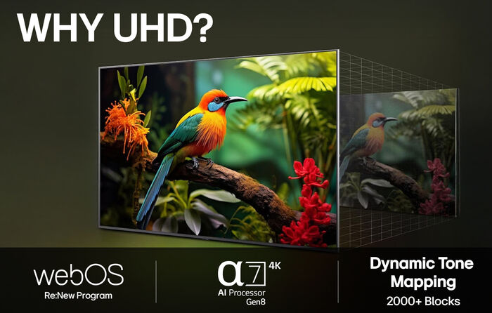 LG 43" UA75 sjónvarp (2025)