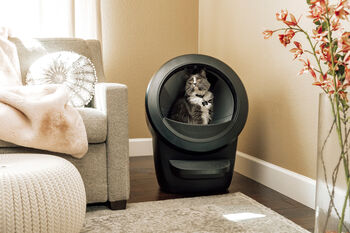 Litter-Robot 4 sjálfvirkt kattaklósett - Svart