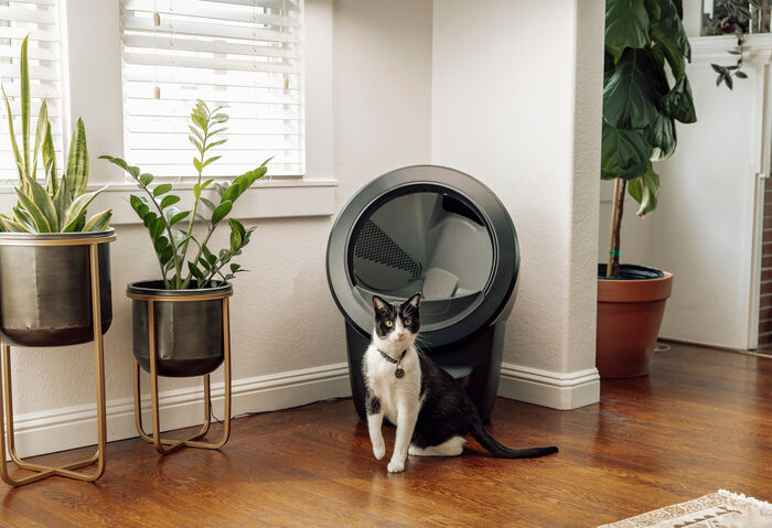 Litter-Robot 4 sjálfvirkt kattaklósett - Svart
