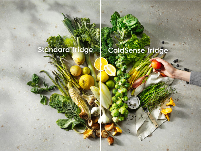 Electrolux kæli- og frystiskápur LTB1AE28W0 - Hvítur