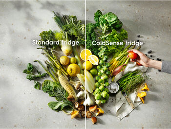 Electrolux kæli- og frystiskápur LTB1AE28W0 - Hvítur