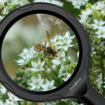 Nedis stækkunargler m. ljósi - Svart