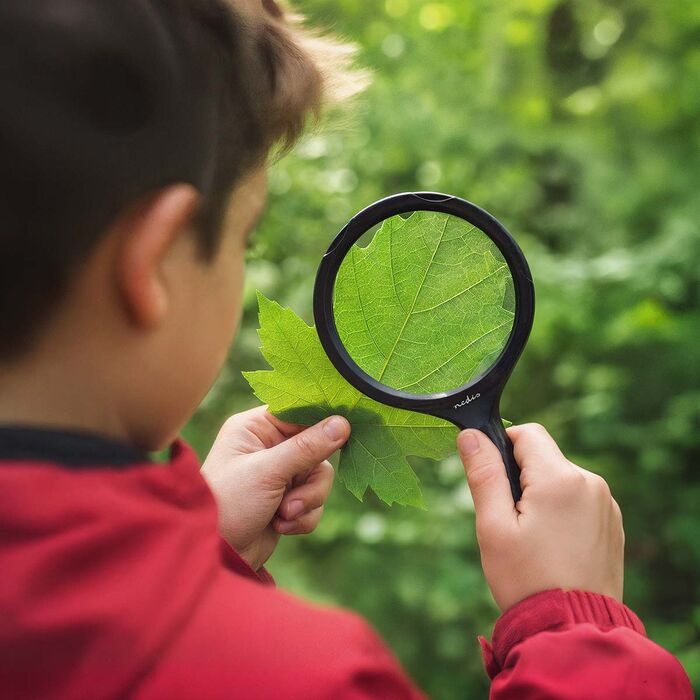 Nedis stækkunargler m. ljósi - Svart