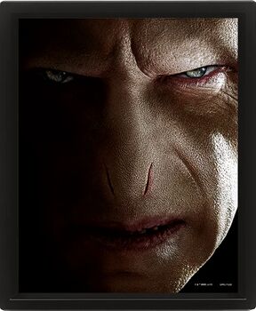 Harry Potter vs Voldemort í ramma