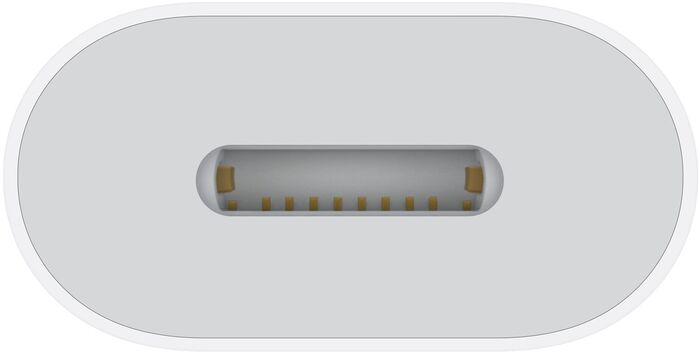 Apple USB-C í Lightning millistykki