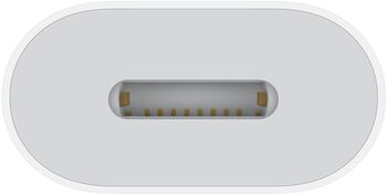 Apple USB-C í Lightning millistykki 