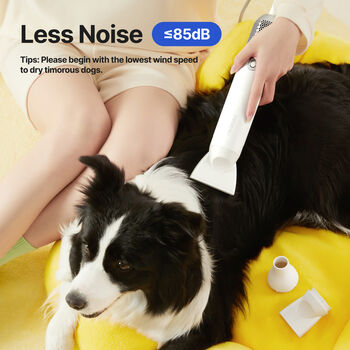 Neakasa F1 hárblásari fyrir gæludýr