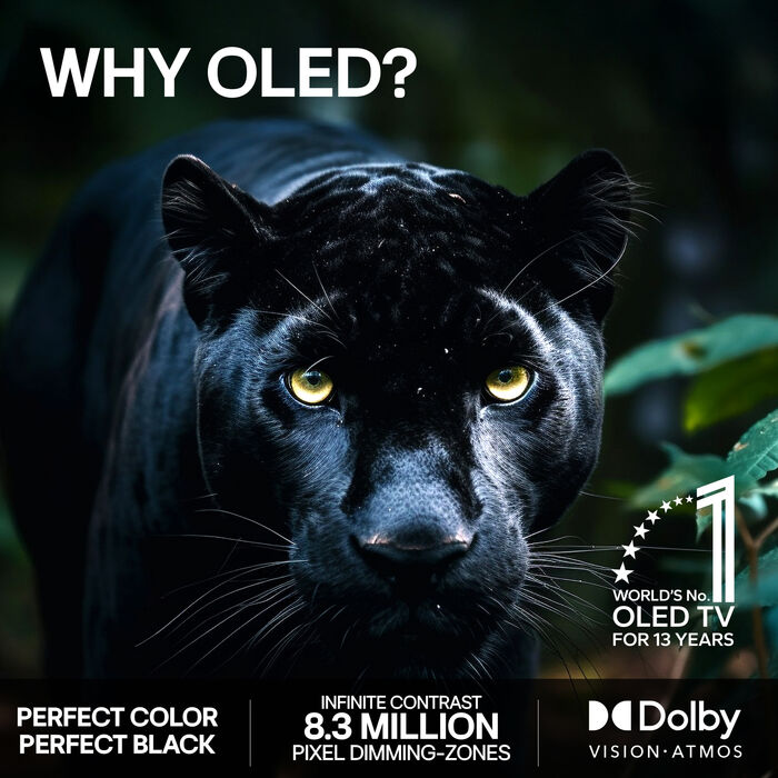 LG 77" G6 OLED evo snjallsjónvarp (2026)