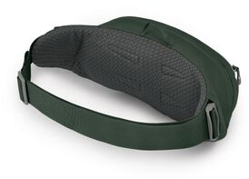 Osprey Daylite Waist mittistaska - Græn