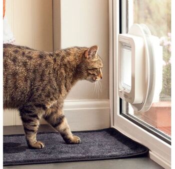 SURE Sureflap Cat kattalúga m. örmerkjalesara - Hvít