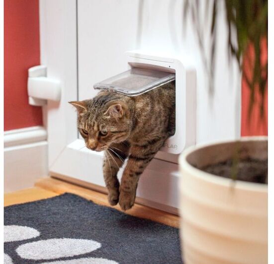 SURE Sureflap Cat kattalúga m. örmerkjalesara - Hvít