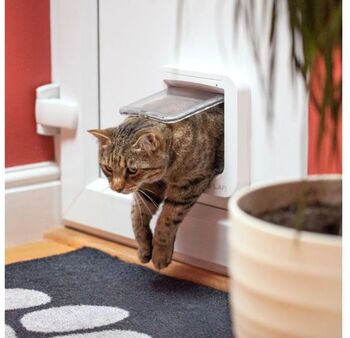SURE Sureflap Cat kattalúga m. örmerkjalesara - Hvít