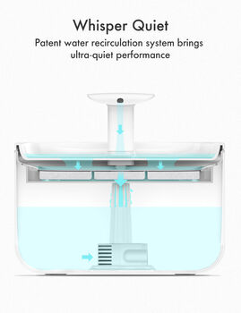 Petlibro Capsule vatnsbrunnur