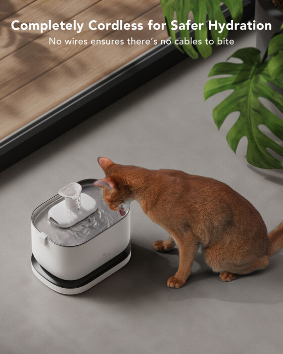 Petlibro Dockstream þráðlaus vatnsbrunnur - Hvítur