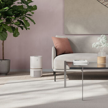 Electrolux Pure 500 lofthreinsitæki - Hvítt