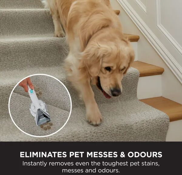 Shark StainStriker blettahreinsir