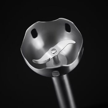 Russell Hobbs töfrasproti 500W