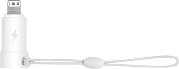 Sandstrøm USB-C í Lightning millistykki