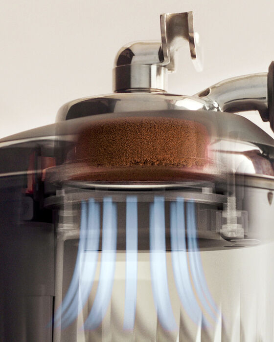 Sage the Puck Sucker fyrir kaffikorg