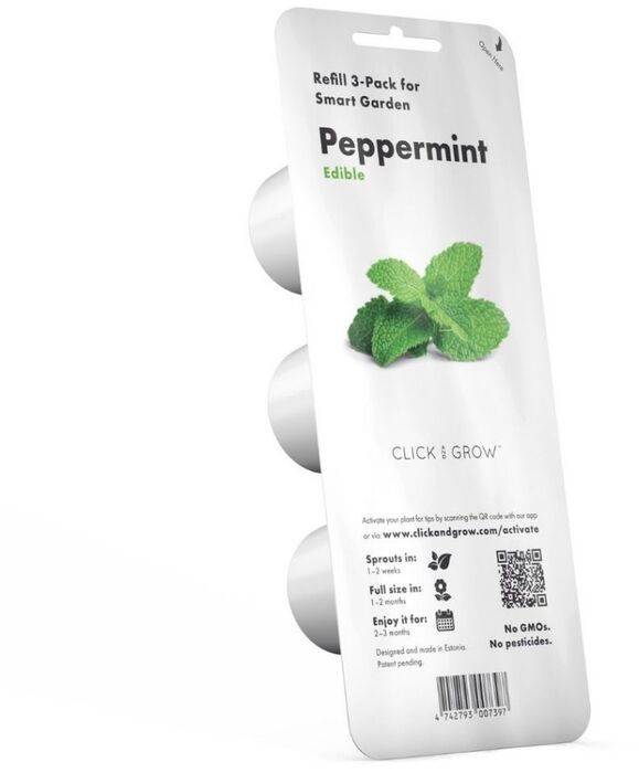 Click & Grow áfylling - Mynta