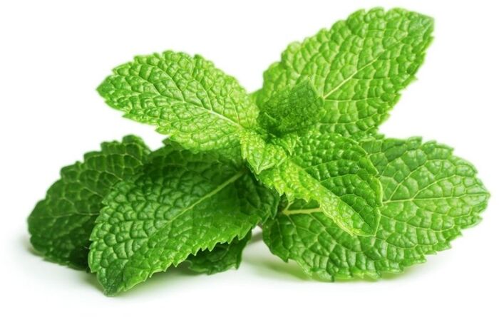 Click & Grow áfylling - Mynta