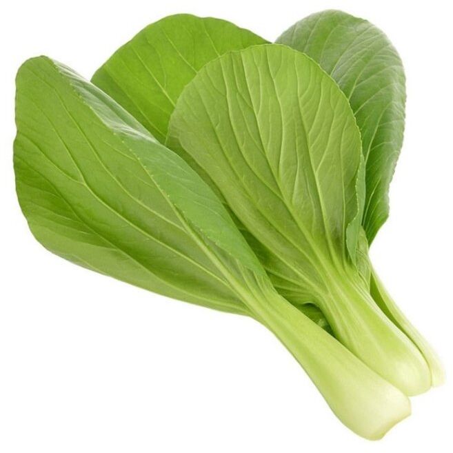 Click & Grow áfylling - Blaðkál