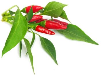 Click & Grow áfylling - Piri Piri