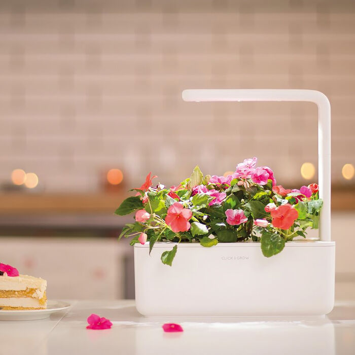 Click & Grow snjallgarður - Hvítur