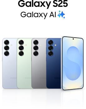 Samsung Galaxy S25 128GB Enterprise Edition - Silfur