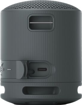 Sony SRS-XB100 ferðahátalari - Svartur 