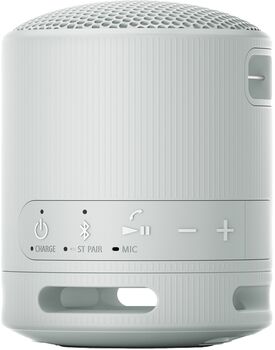 Sony SRS-XB100 ferðahátalari - Ljósgrár 