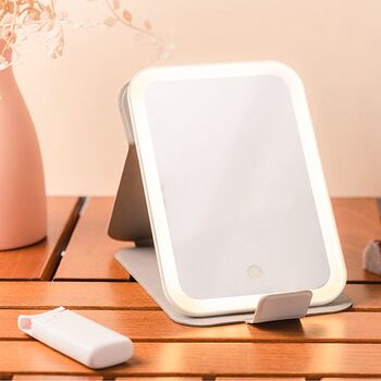 Stylpro On Tour ferðaspegill 