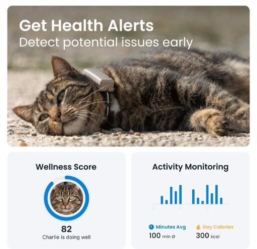 Tractive Mini GPS staðsetningartæki fyrir ketti - Brúnt