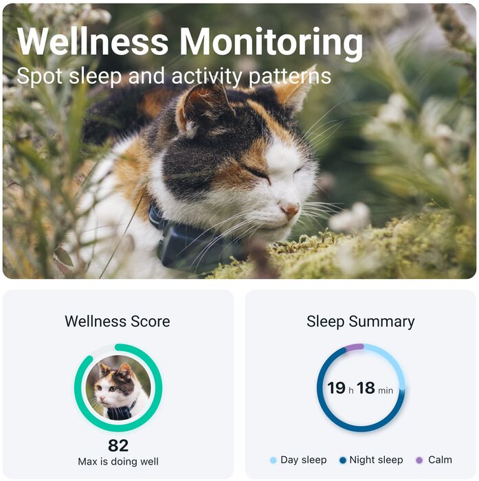 Tractive Mini GPS staðsetningartæki fyrir ketti - Dökkblátt 